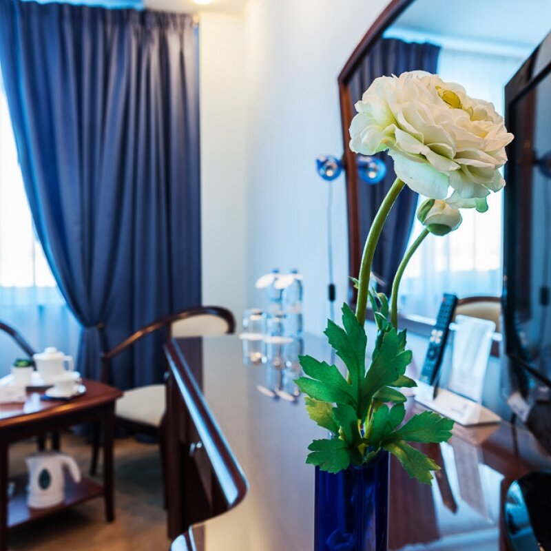 Гостиница Александровский сад Нижний Новгород