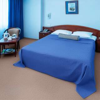 Гостиница Александровский сад Нижний Новгород Стандартный улучшенный номер (двуспальная кровать)-2