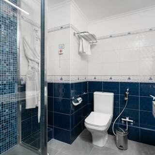 Гостиница Александровский сад Нижний Новгород Полулюкс-3